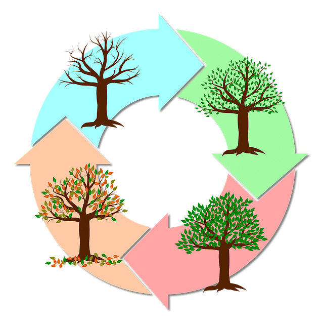 Days, months and seasons in French